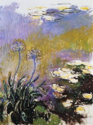 Agapanthus by monet