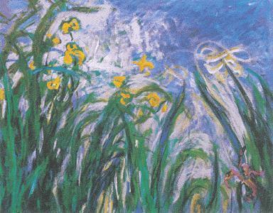 yellow and mauve irises by monet